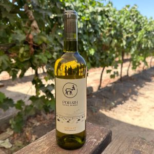 פינו גרי 2024